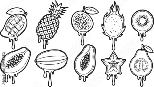 A collection of vintage fruit and vegetable illustration sketches Vector