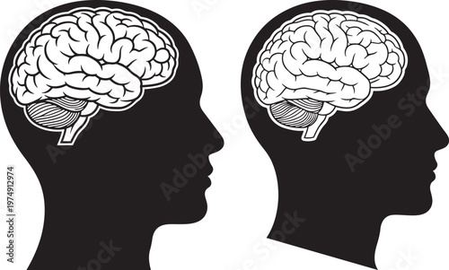Human head profile silhouettes with visible brains mind and intelligence concept illustration human anatomy mental health brain structure silhouette intelligence thinking psychology creative