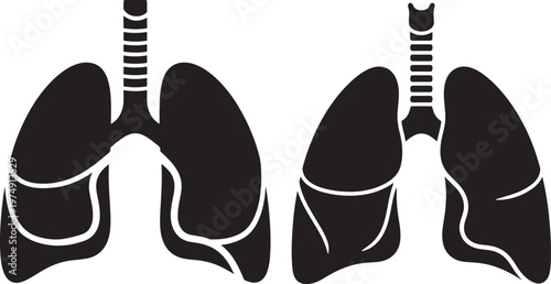 Human lungs anatomy diagram icon set for medical education and respiratory system health with white background internal organs silhouette internal medicine scientific pulmonary respiration