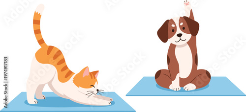 Cute Cat and Dog Yoga Cartoon Illustration with Stretching and Meditation Poses for Pet Wellness and Healthy Lifestyle Design