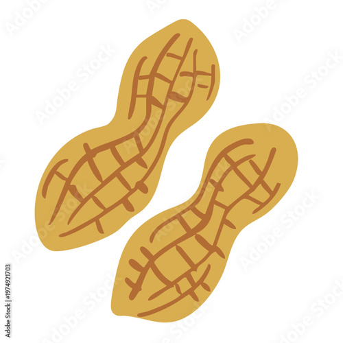 落花生のイラスト