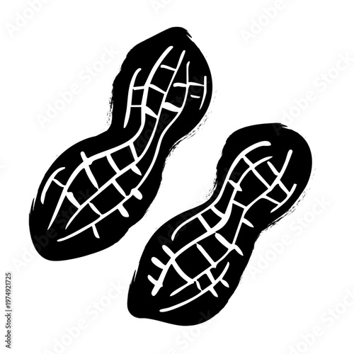 落花生のイラスト