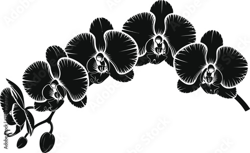Graceful orchid flower branch silhouette in black monochrome style for floral card designs.