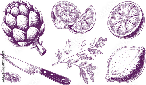 Purple artichoke lemon and knife sketch drawing isolated on transparent.