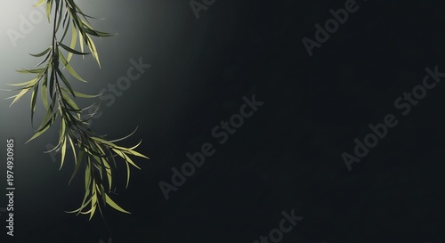 Minimal green leafy branch on dark gradient background, serene botanical composition with copy space