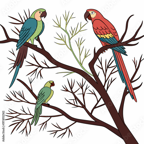 A vibrant illustration depicts three colorful parrots perched on dark brown branches surrounded by delicate green foliage and twigs high quality professional