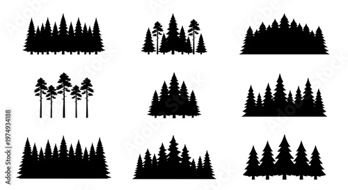 Pine forest silhouettes, 9 conifer tree sets, black evergreen wood vectors