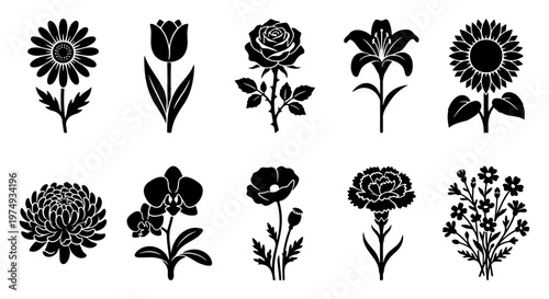 Black floral icons set, 10 flower silhouettes, botanical vector elements