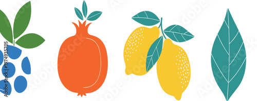 Minimal fruit and leaf icon set with blueberry pomegranate lemon and foliage, flat colorful vector collection for healthy food design