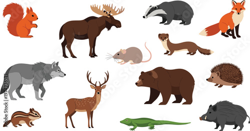 Forest Wildlife Animals Vector Illustration Set Featuring Bear, Fox, Moose, Wolf, Deer, Hedgehog, Badger, Squirrel, and Small Mammals in Flat Cartoon Style.