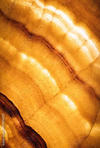Architectural detail of an antique alabaster stone sheet. Elegant background. 