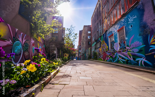 Colorful street art fills the walls of a narrow alley on a bright sunny day in an urban area with flowers in the foreground