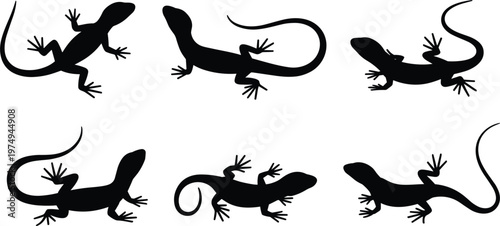 Lizard silhouette set, gecko reptile poses crawling isolated vector wildlife animal illustration design collection
