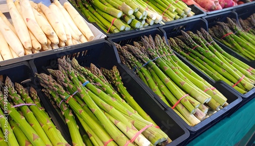 Rows of green and white asparagus, grouped in containers at market, featuring fresh, vibrant produce