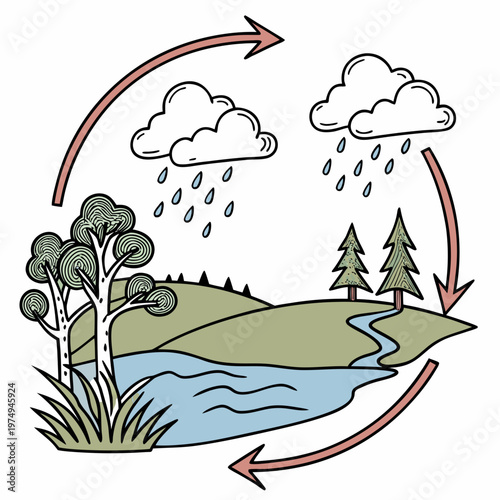This illustration depicts the continuous water cycle showcasing evaporation condensation precipitation and collection in a natural landscape high quality professional detailed modern