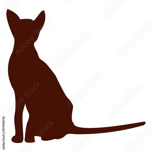Foto Silhouette cat feline