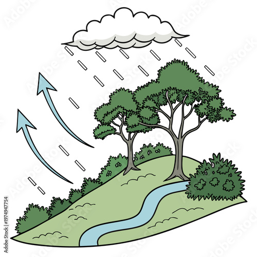 This illustration depicts the water cycle showing evaporation condensation precipitation and collection with trees and a stream high quality professional detailed modern