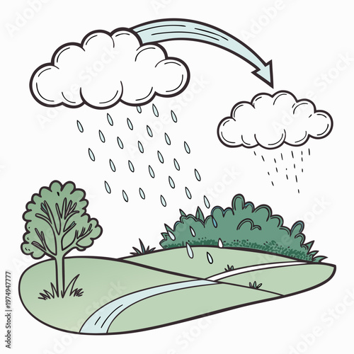 A colorful illustration depicts the water cycle showing precipitation falling from clouds onto trees land and flowing into a stream high quality