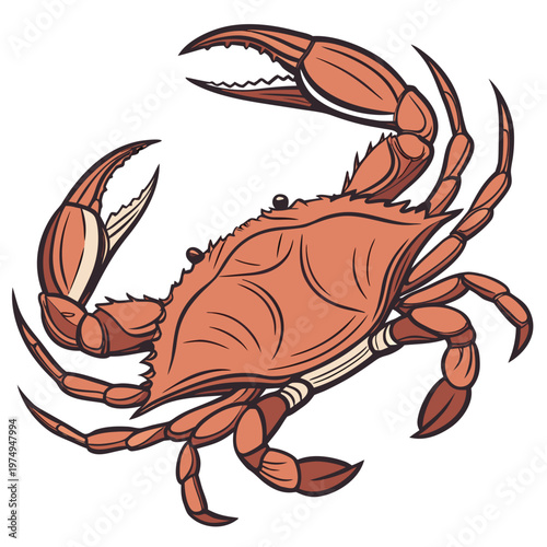 A detailed illustration showcases a vibrant blue crab with prominent claws and textured shell facing forward with focused detail high quality professional