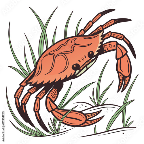 A vibrant detailed illustration depicts a reddish brown crab amidst lush green seaweed and sandy textures showcasing a vintage aesthetic high quality