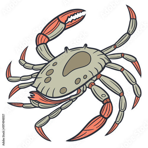 A cartoon depiction showcases a vibrant crab with large claws detailed legs and a textured shell rendered in a playful style