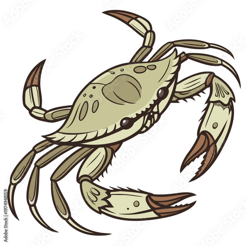 A detailed cartoon illustration depicts a brown crab with prominent claws and multiple legs facing forward with a curious expression high quality