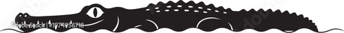 Black silhouette of a crocodile swimming in water alligator