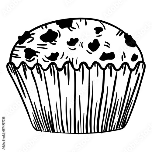 Muffin hand drawn