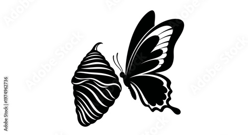 Butterfly metamorphosis life cycle vector illustration