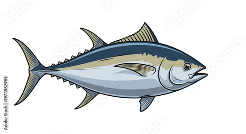 Yellowfin tuna fish illustration isolated on white background