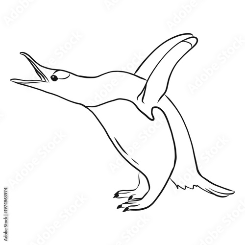 Penguin wing beak tail sketch