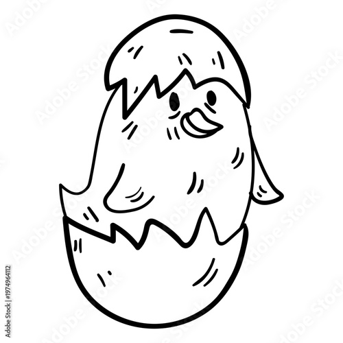 Handdrawn hatched chick illustration