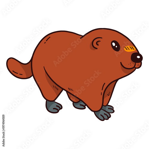 Cute ground hog marmot fur muzzle tail flat