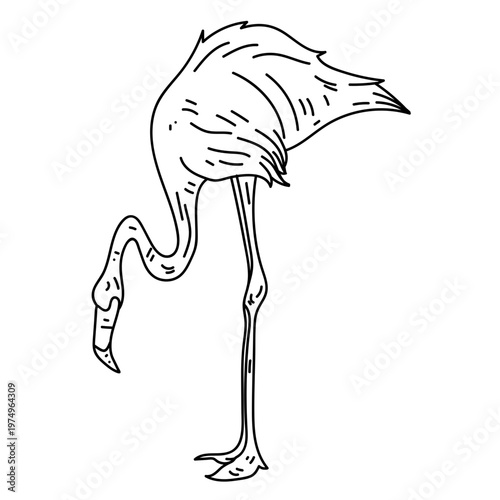 Flamingo beak pink leg line