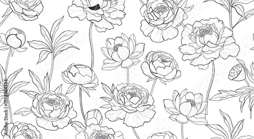 Peony flowers with buds and leaves are illustrated in a scattered pattern across a white backdrop.