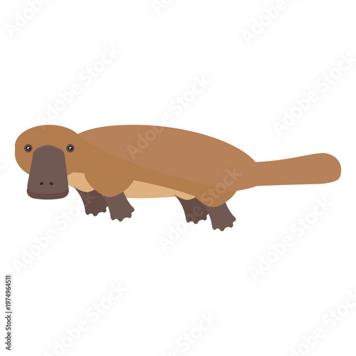 Platypus duckbill tail beak flat