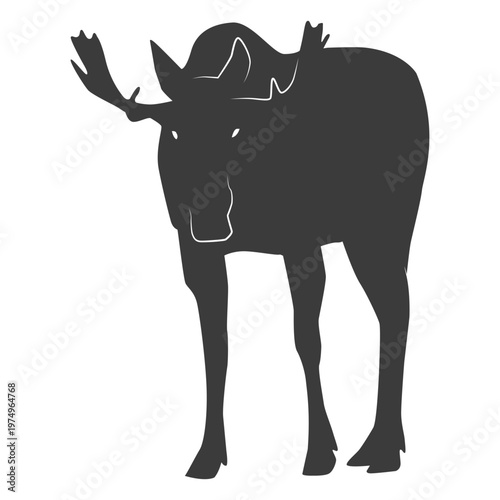 Moose elk antler hoof silhouette animal