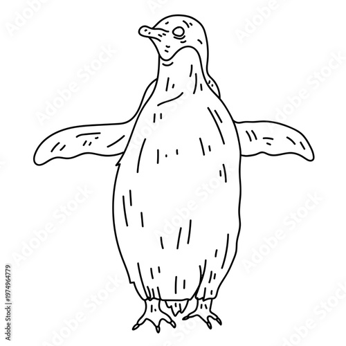 Penguin beak wing fat line