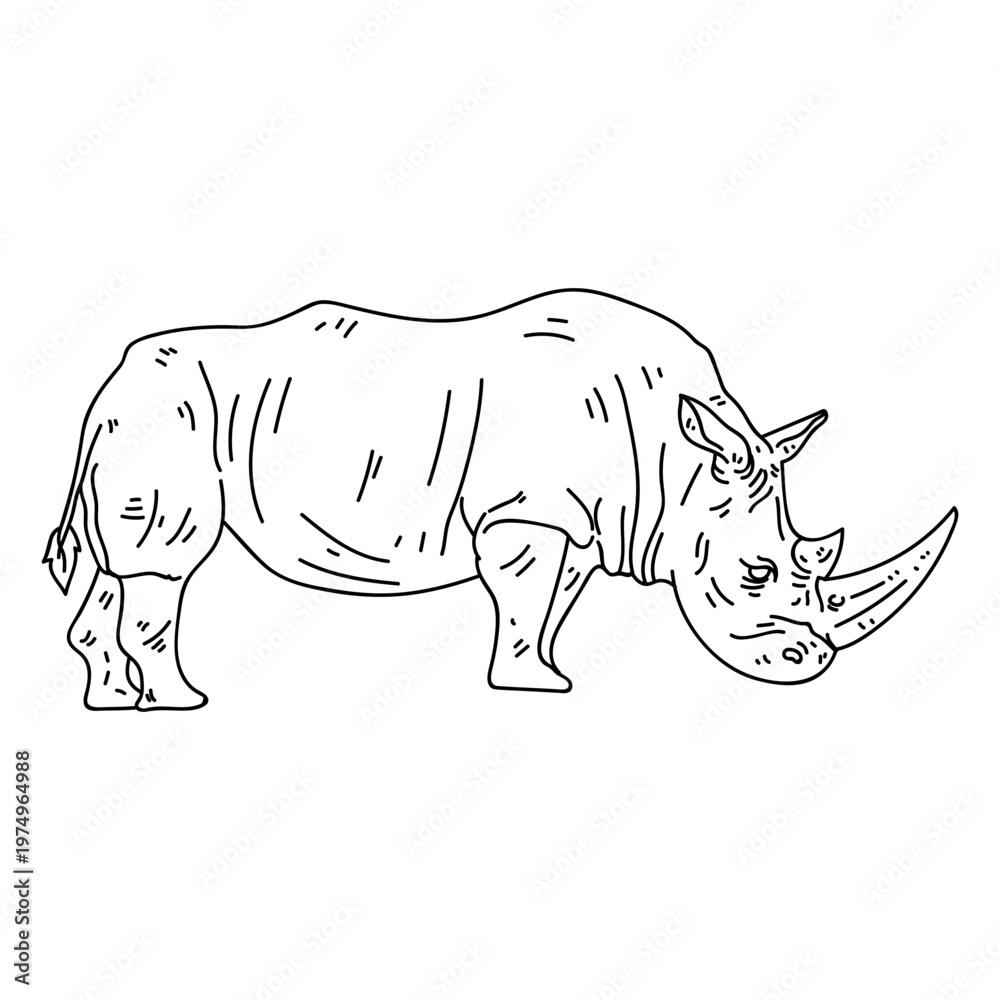 Obraz premium Rhinoceros rhino horn tail fat stroke