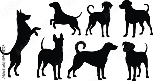 Dog silhouette collection, different breeds poses set, pet animal vector, standing jumping canine shapes, black isolated illustration design