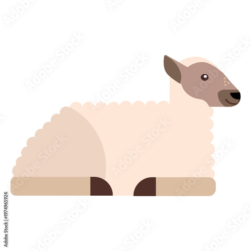 Sheep hoof lamb wool flat rounded geometric