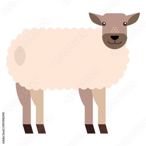 Sheep lamb wool hoof tail flat rounded geometric