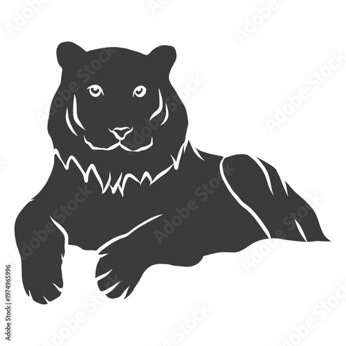 Tiger tail stripe silhouette