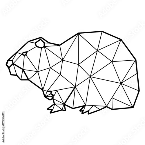 Groundhog laying polygonal