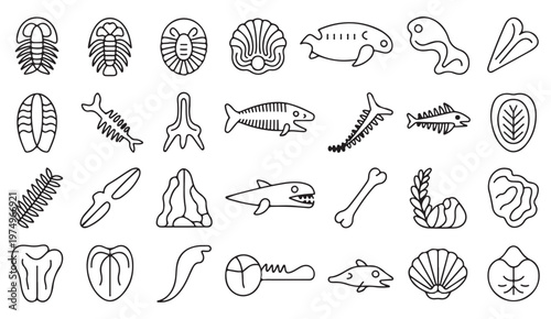 Prehistoric fossil symbols set in clean minimal line art style