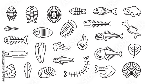 Science icon pack with fossil specimens and geological elements