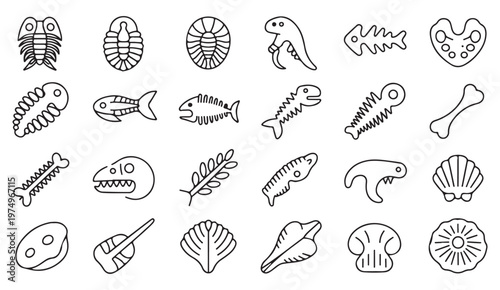 Ancient nature elements collection with prehistoric fossils and shells