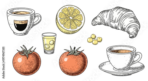 Vintage Hand Drawn Food and Beverage Engravings Set with Stippling Texture and Dot Shading EPS10