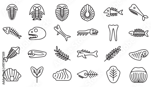 Paleontology themed icon set featuring marine fossils and skeleton remains