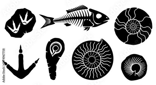 Paleontology Fossil Icon Set with Dinosaur Footprints Fish Skeletons and Ammonites Vector Illustration